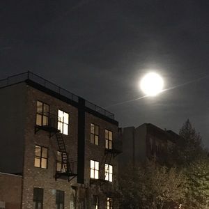 Meet your Posher, Alana